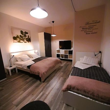 Apartma Vila Tara 皮瑞伯德 外观 照片