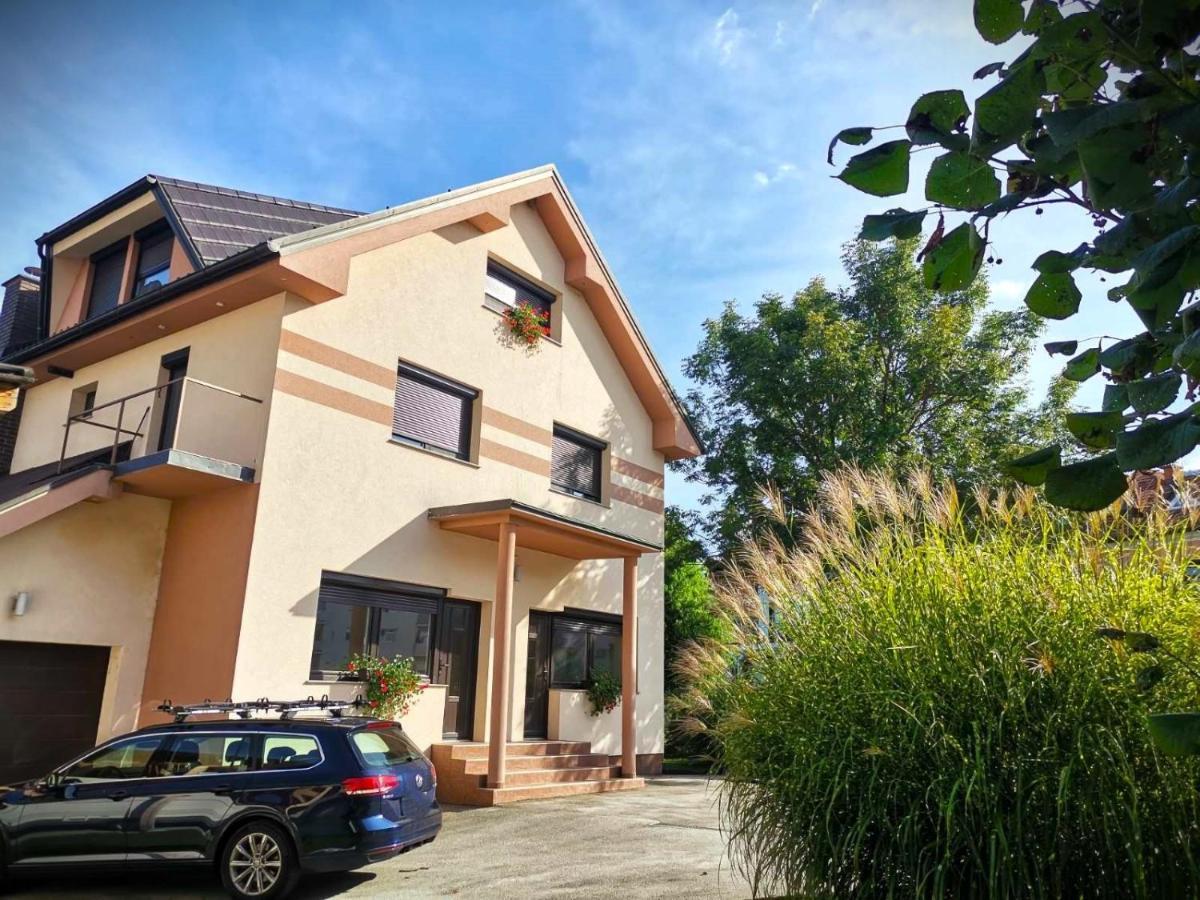 Apartma Vila Tara 皮瑞伯德 外观 照片