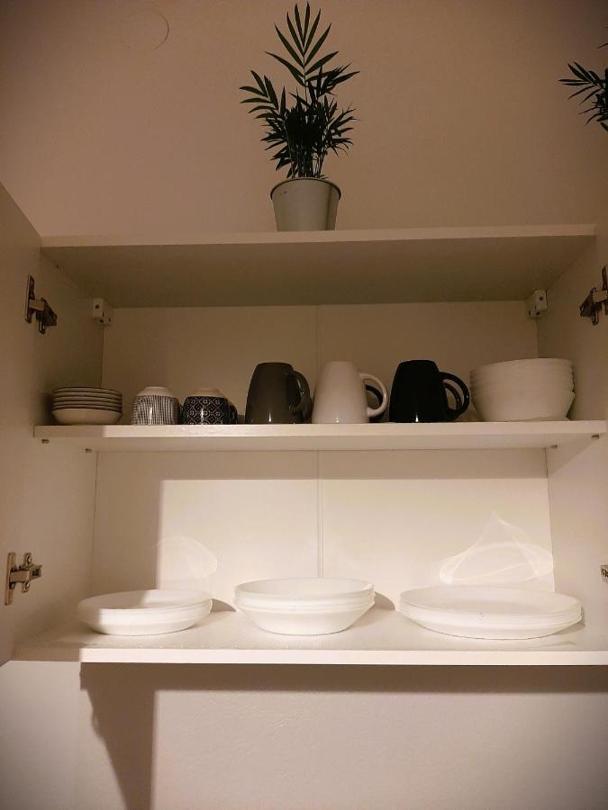 Apartma Vila Tara 皮瑞伯德 外观 照片