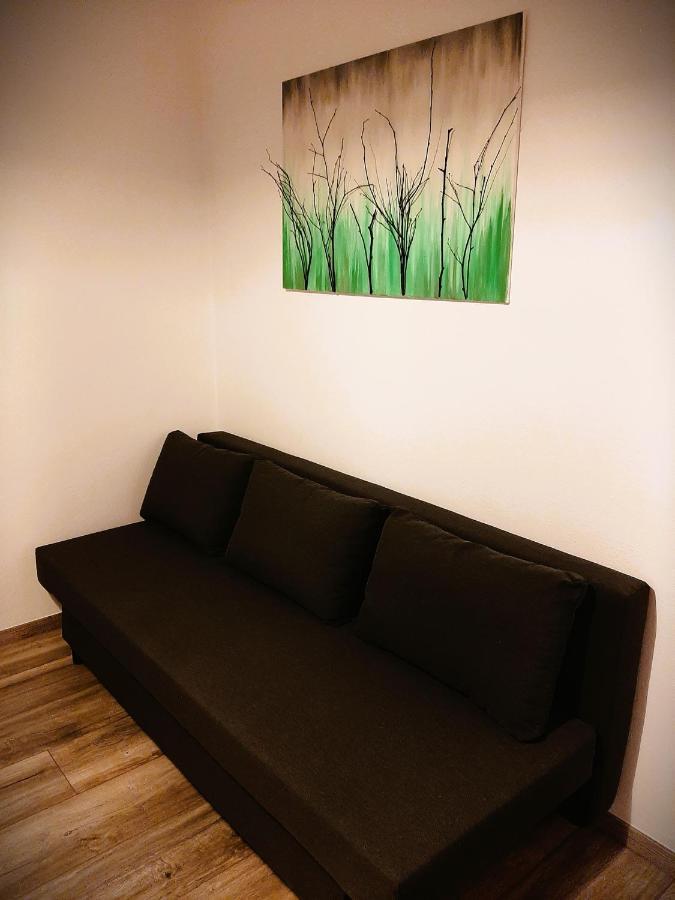 Apartma Vila Tara 皮瑞伯德 外观 照片