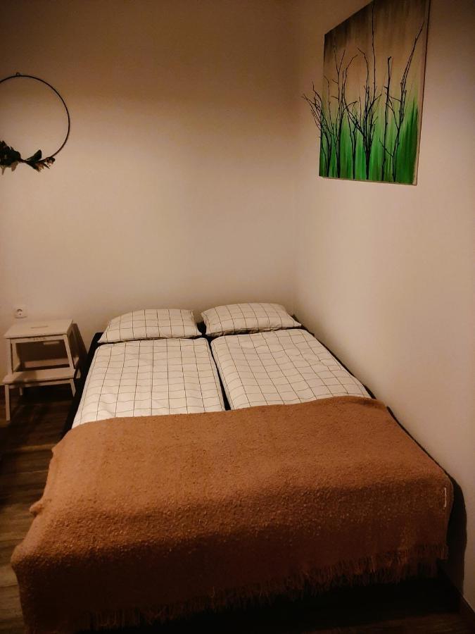 Apartma Vila Tara 皮瑞伯德 外观 照片