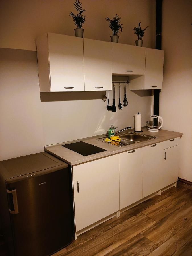 Apartma Vila Tara 皮瑞伯德 外观 照片