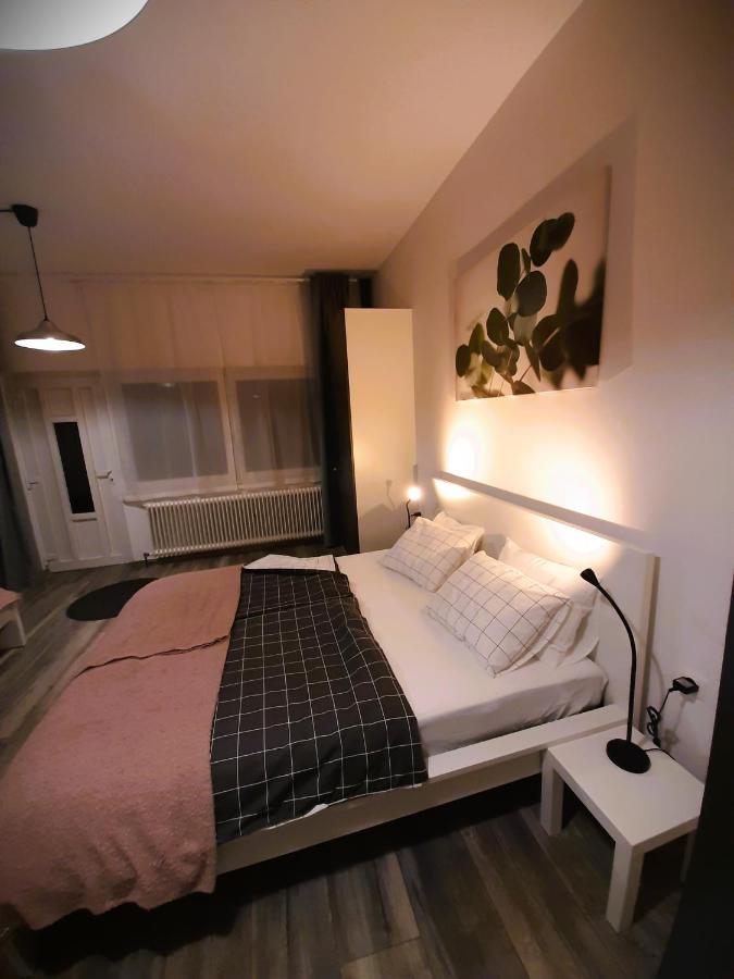 Apartma Vila Tara 皮瑞伯德 外观 照片