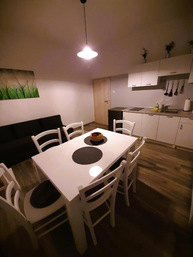 Apartma Vila Tara 皮瑞伯德 外观 照片
