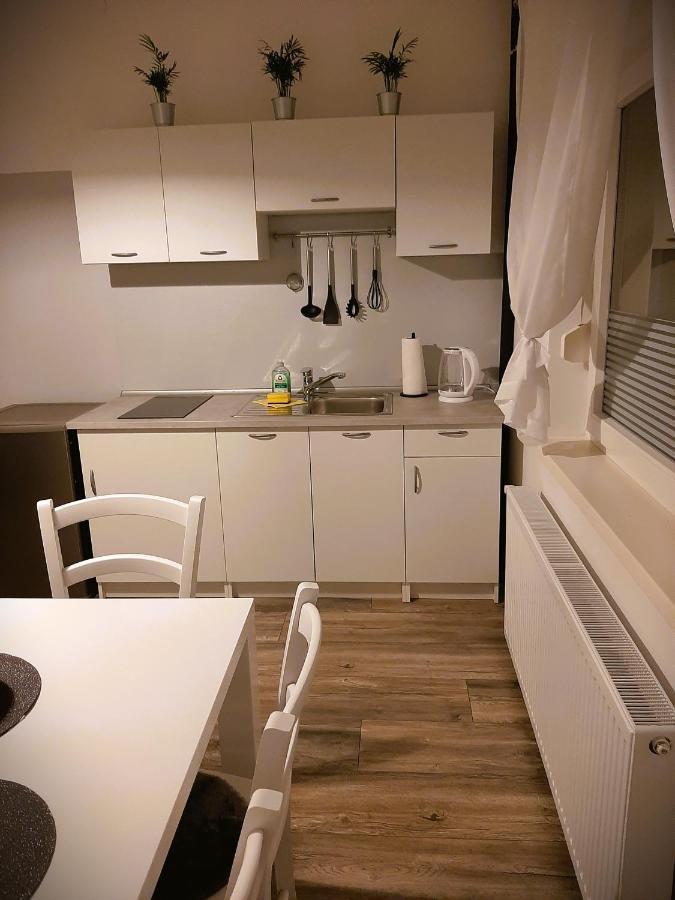 Apartma Vila Tara 皮瑞伯德 外观 照片