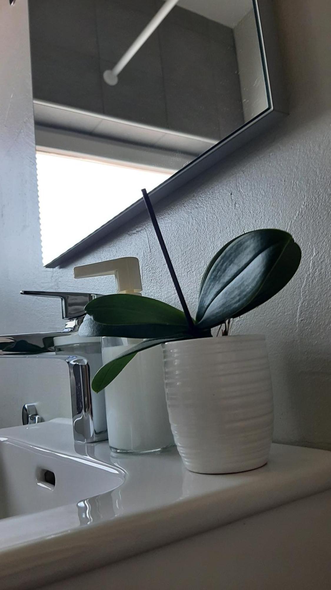 Apartma Vila Tara 皮瑞伯德 外观 照片